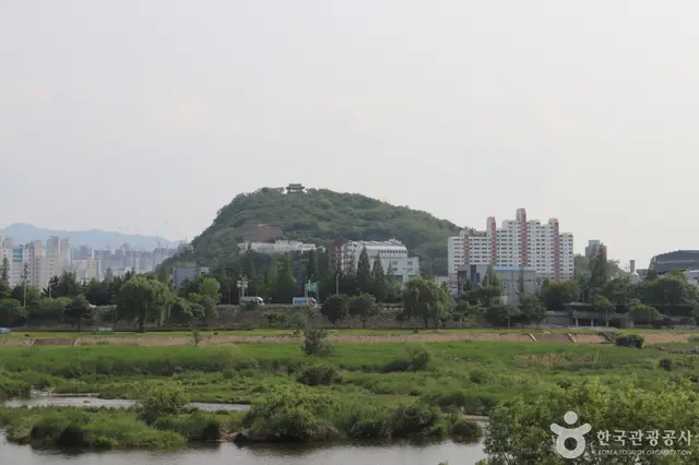 침산공원 사진