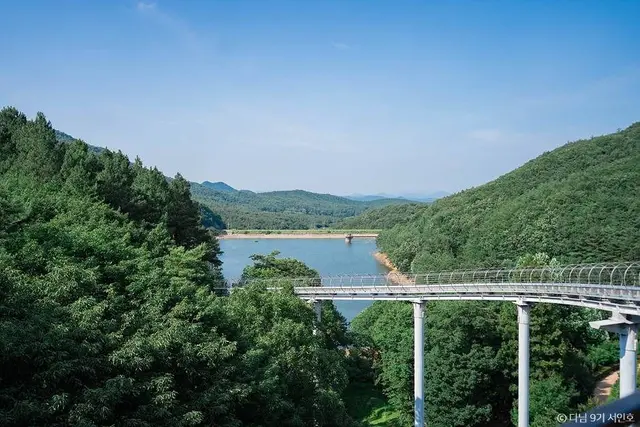 제암산자연휴양림 사진