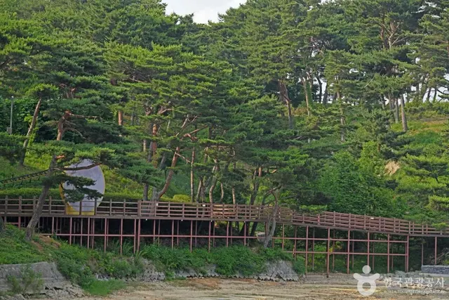 느린호수길 사진
