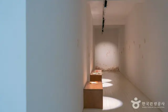 시안미술관 사진