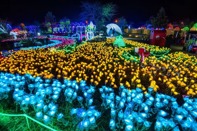 제주불빛정원 사진