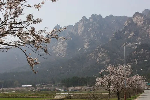 월출산국립공원 사진