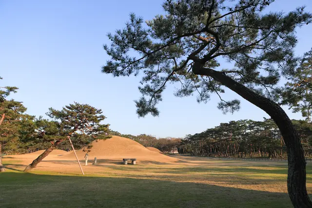 오릉 사진