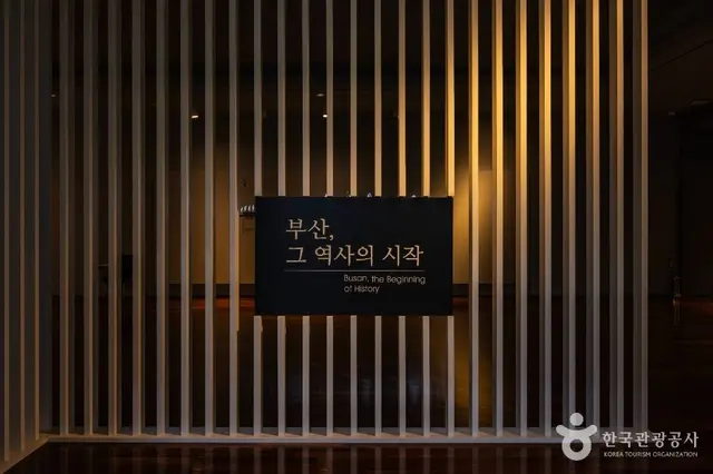 부산박물관 사진