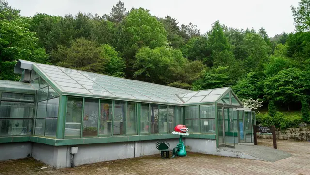 미동산수목원 사진