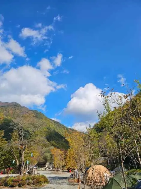 그린필로우 사진