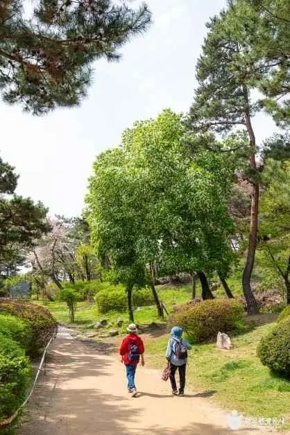 남산야외식물원 사진