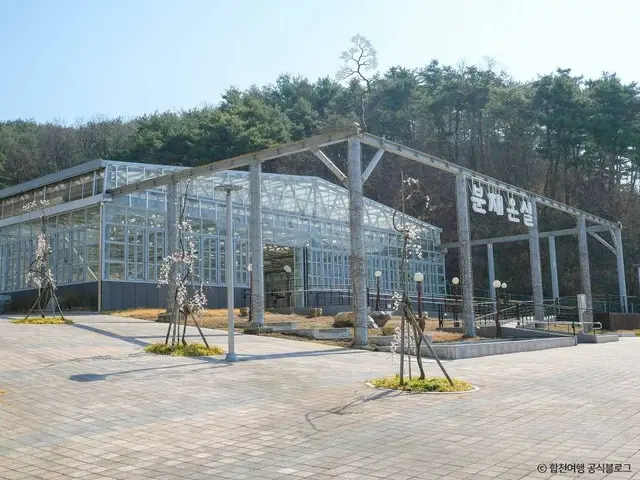 합천목재문화체험장 사진
