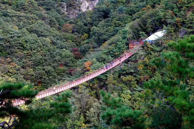 감악산 출렁다리 사진