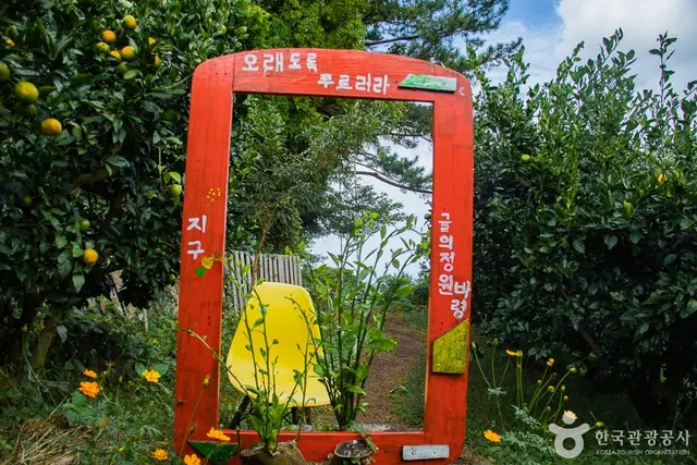 귤의정원 바령 사진