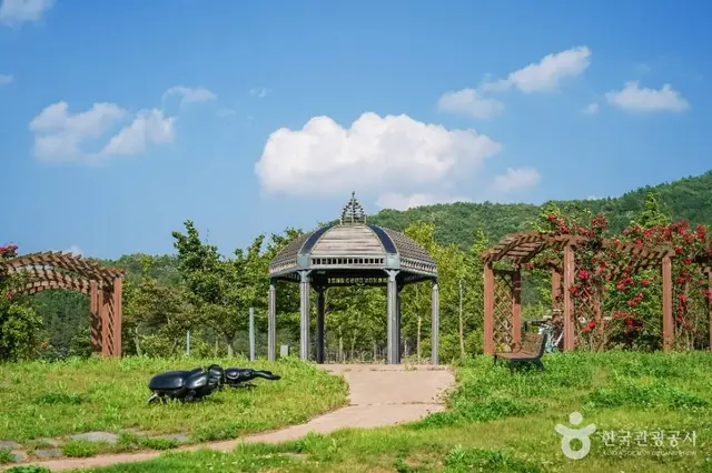 위천수변테마공원 사진