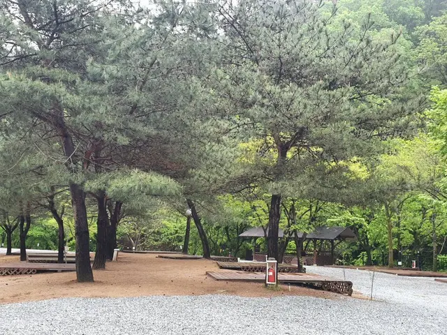 검산별빛캠핑장 사진