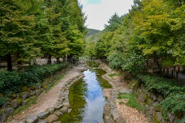 상소동 산림욕장 사진