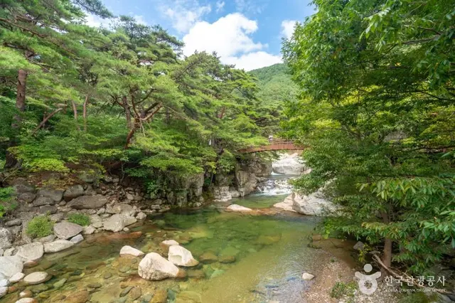 홍류동계곡 사진