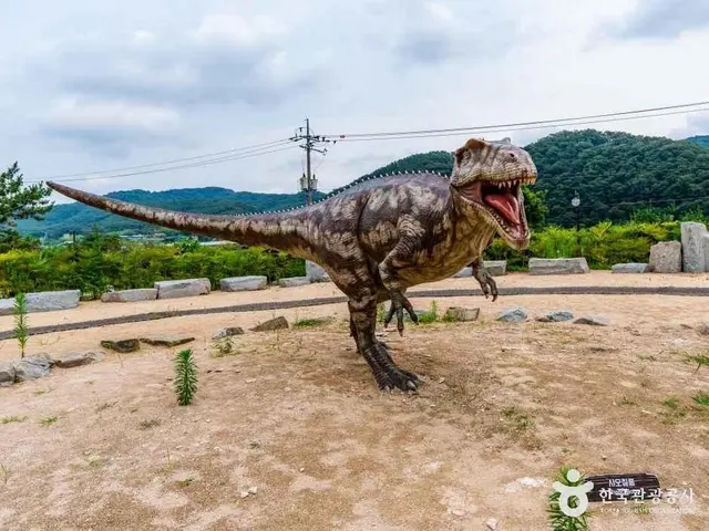 화순 서유리 공룡발자국 화석산지 사진