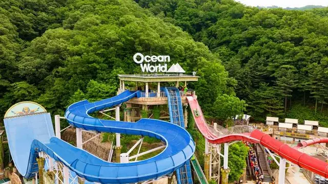 오션월드 사진