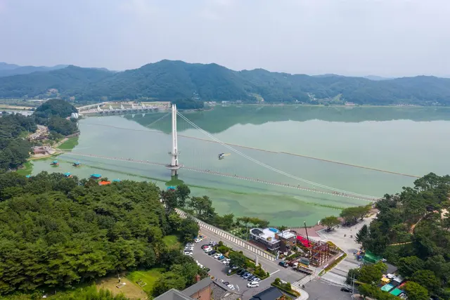 예당호 출렁다리 사진