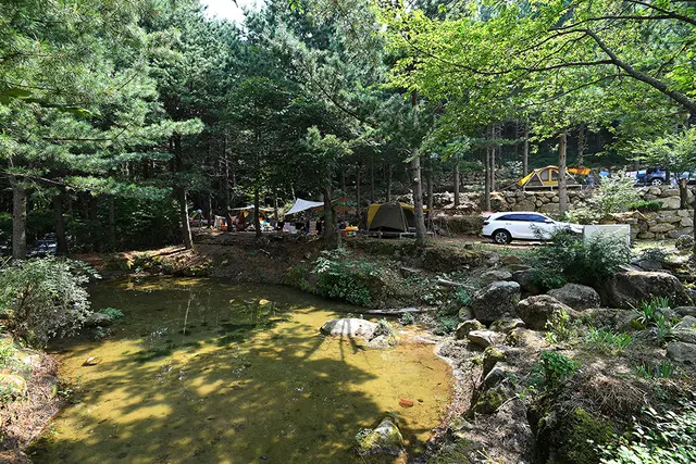 지리산숲속의쉼터 사진