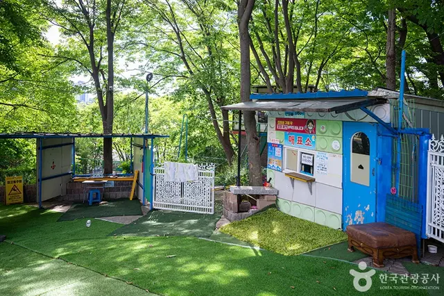 황금수영장 사진