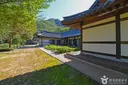 화천 산약초 마을 사진