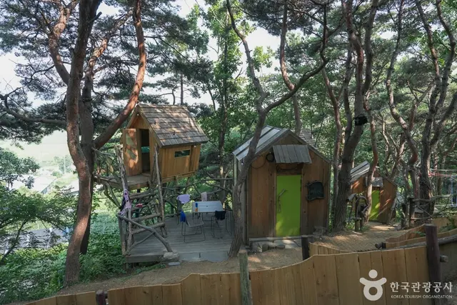 톰아저씨트리하우스 사진