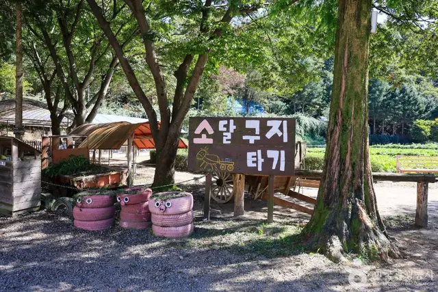 한터농원 사진
