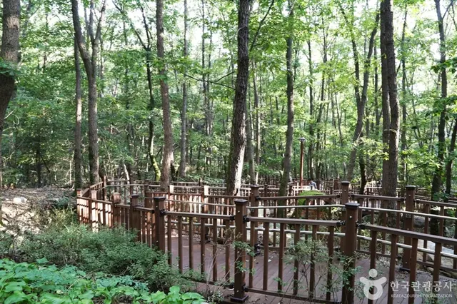 삼성산산림욕장 사진