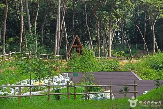 군산 킹콩놀이터 사진