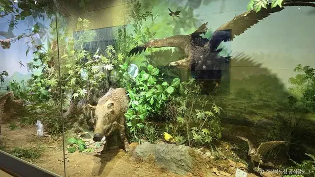문경자연생태박물관 사진