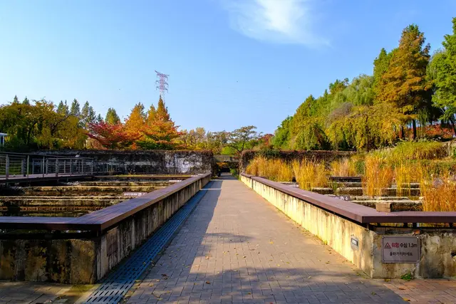 선유도공원 사진