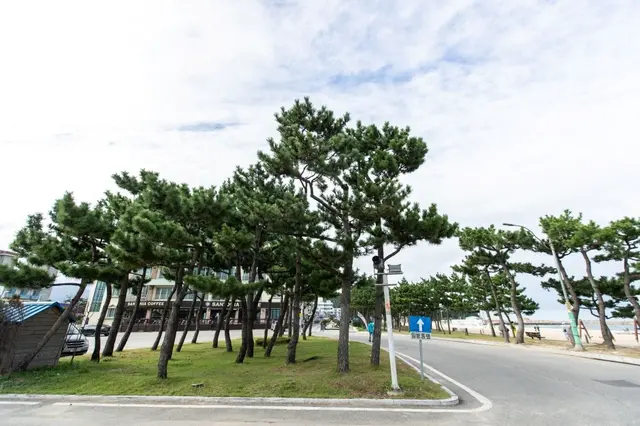 낙산해수욕장 사진