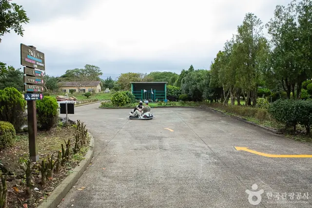 제주 센트럴파크 사진