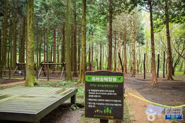 붉은오름자연휴양림 사진