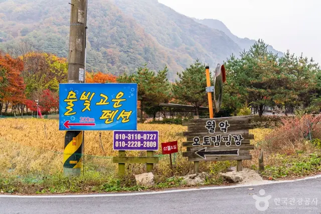 월악오토캠핑장 사진