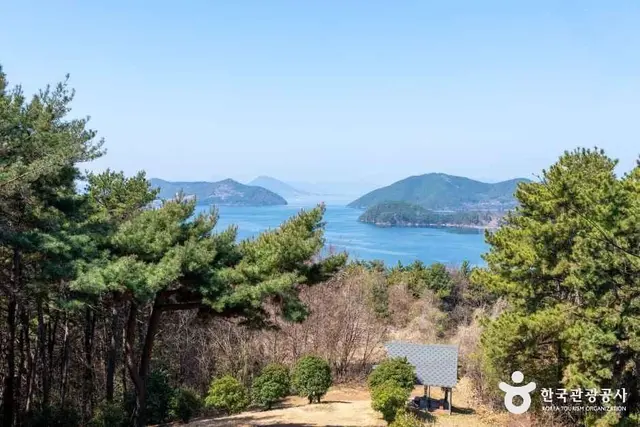 거제맹종죽테마공원 사진