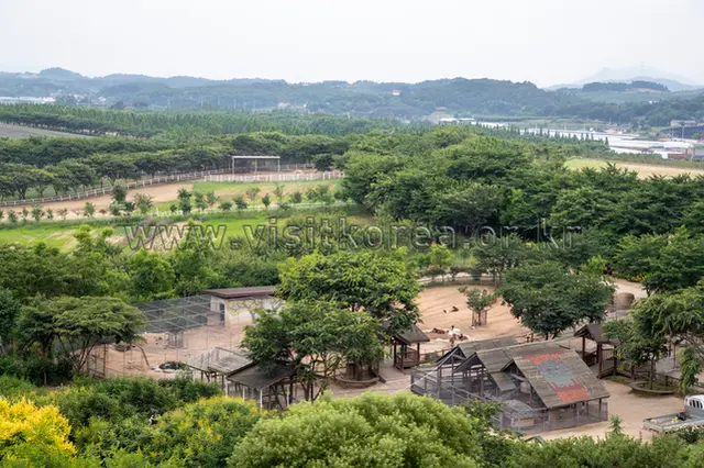 아그로랜드 태신목장 사진