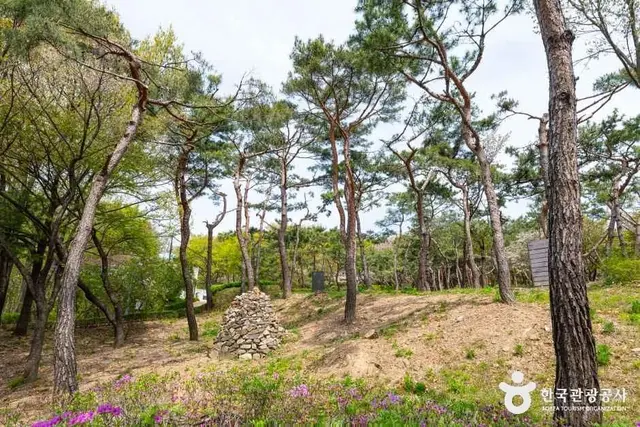 남산야외식물원 사진