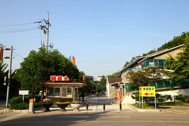 천곡황금박쥐동굴 사진