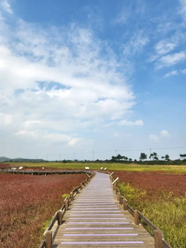 태평염생식물원 사진