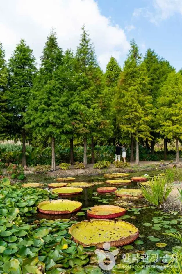 청산수목원 사진