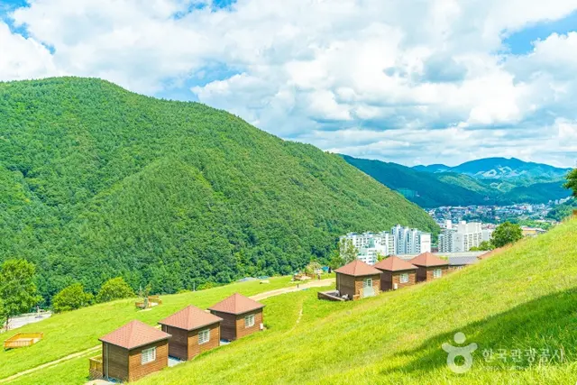 몽토랑산양목장&뷰카페 사진