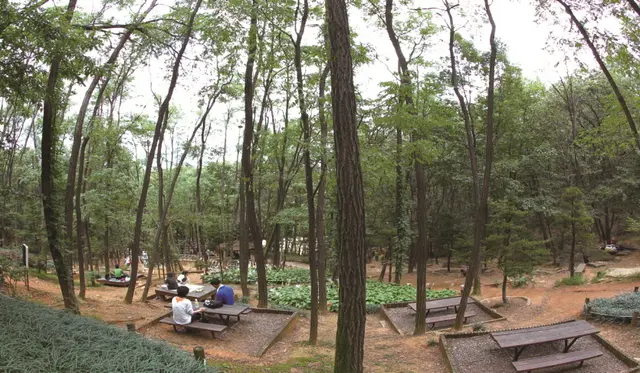 구름산산림욕장 사진