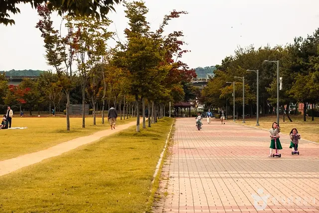 율하체육공원 사진