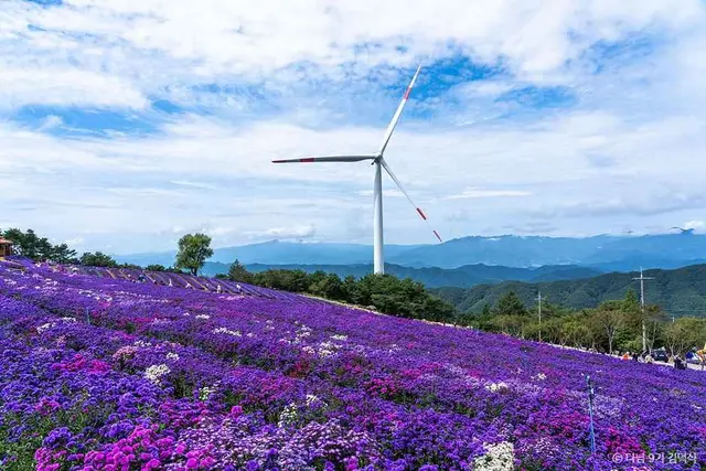 거창별바람언덕 사진