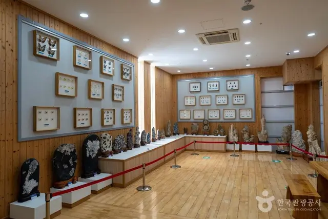 청양목재문화자연사체험관 사진