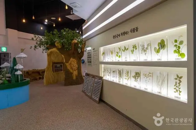 뜬봉샘생태공원 사진