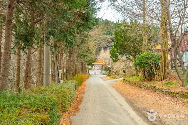 무등산편백자연휴양림 사진