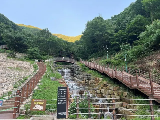 밀양 도래재 자연휴양림 사진