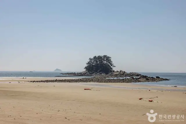 학암포해수욕장 사진