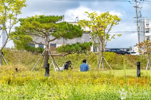 양양남대천체육공원 사진
